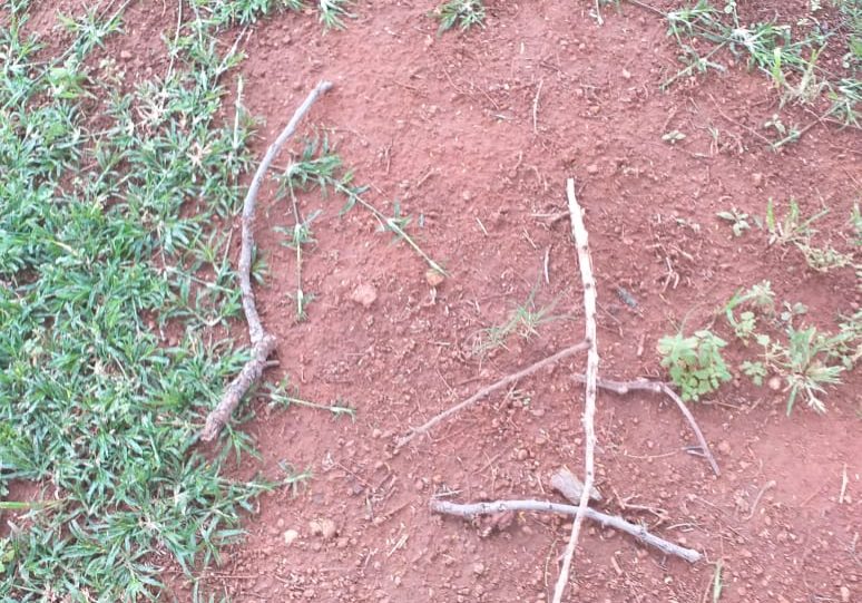 9ad4a804-08a1-4d9f-af2b-00e56fb50a8f