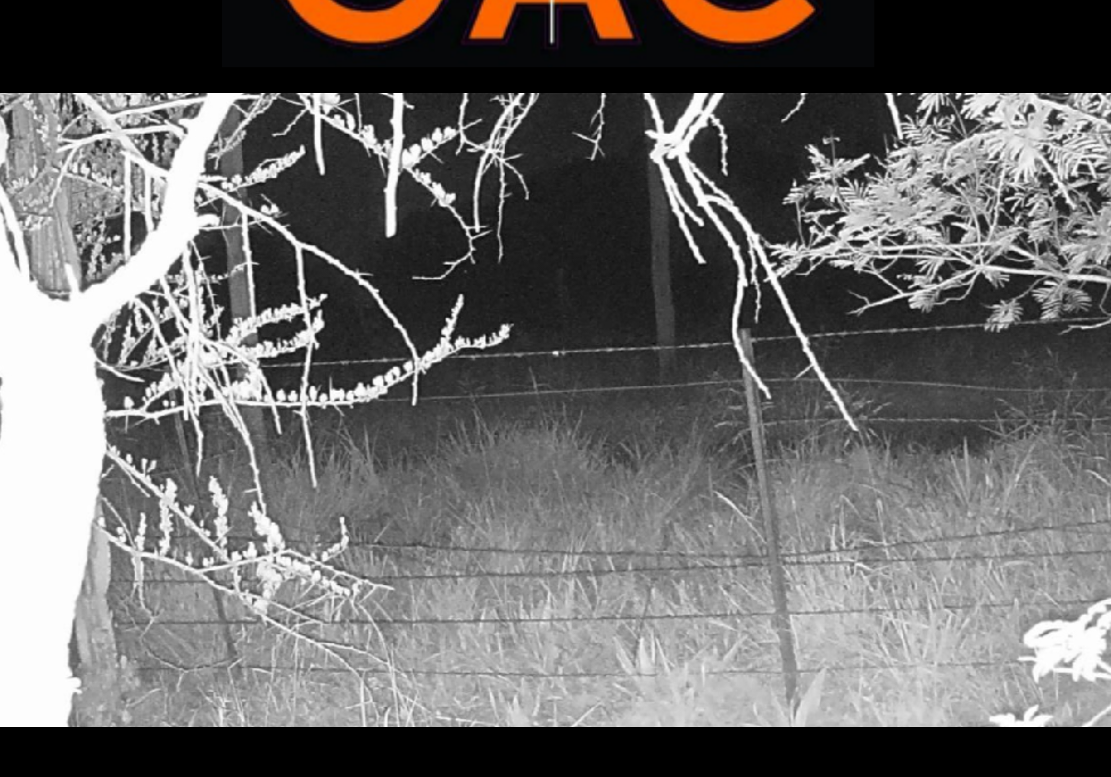 FlyerMaker_12082020_230525