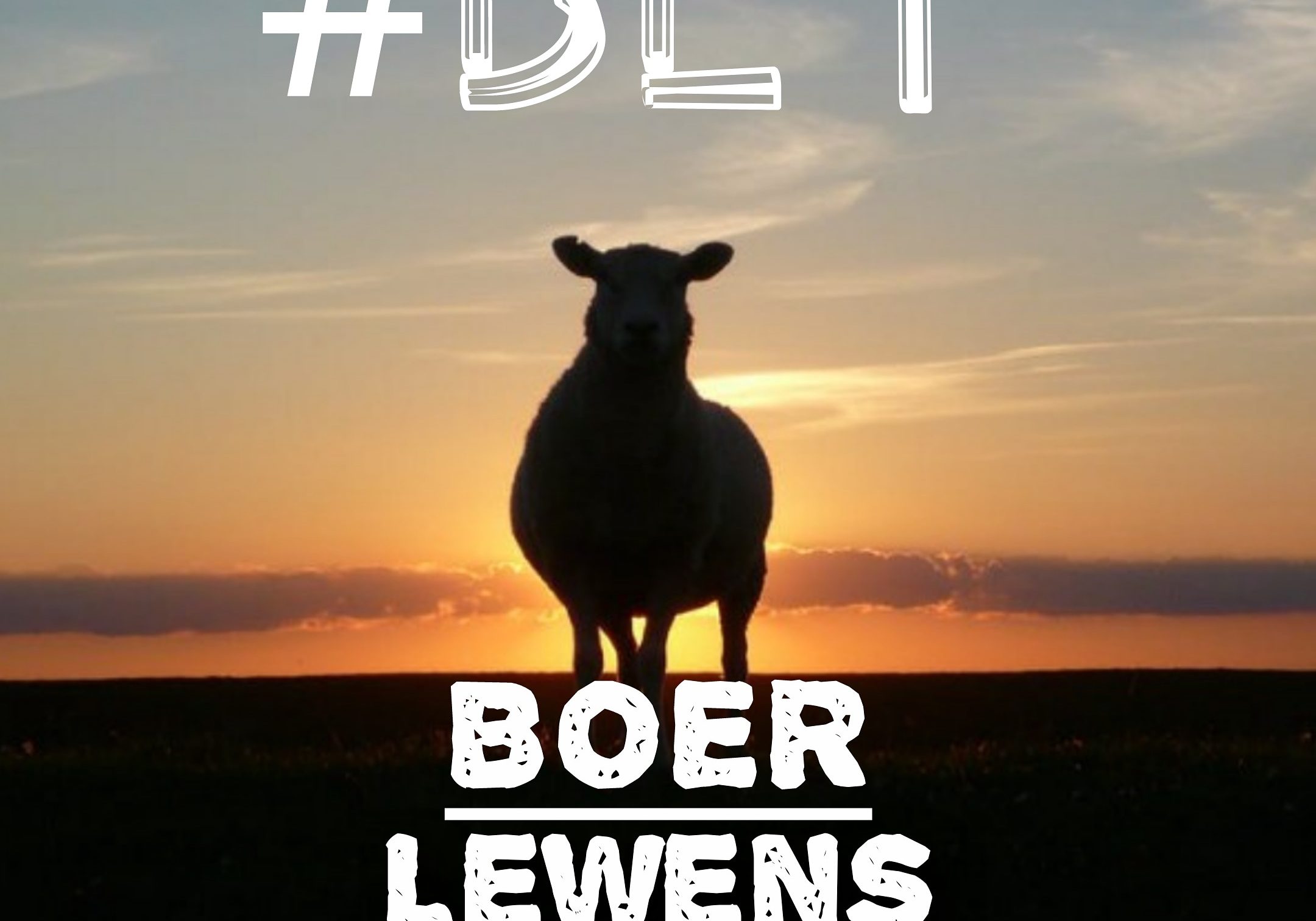 IMG_20200610_231823_124