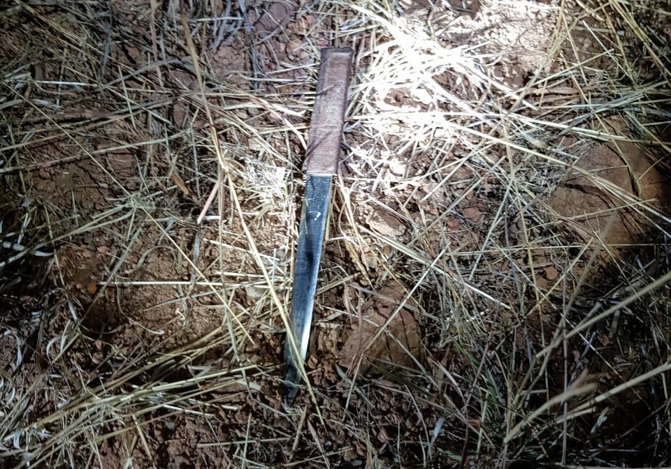 WhatsApp Image 2018-07-21 at 17.07.07