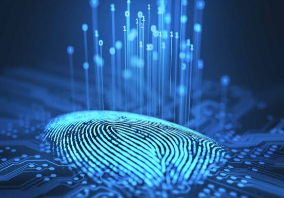 WhatsApp Image 2024-11-12 at 16.09.48_5a3a73b4